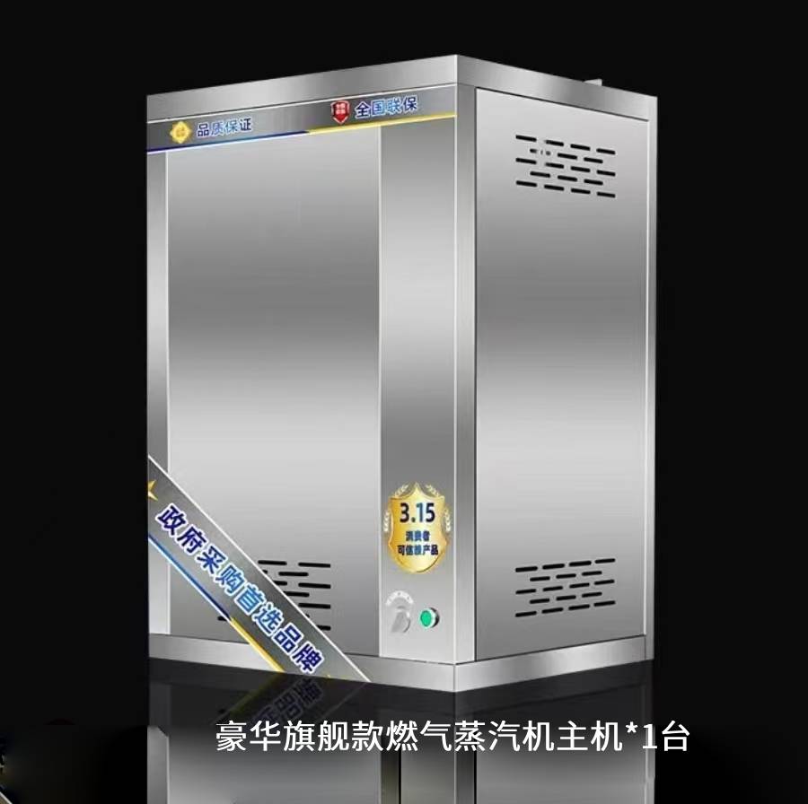 燃?xì)庹羝l(fā)生器